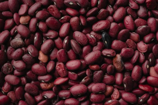 Pulses